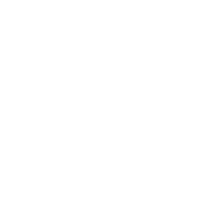 Citadel Group logo
