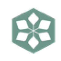 DCM SHRIRAM INTERNATIONAL LIMITED logo