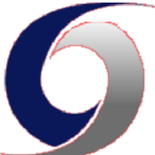DXStorm.Com Inc. logo