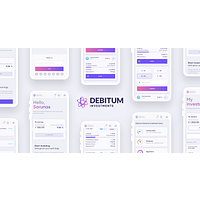 Debitum Invest SPV logo