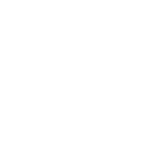 Denarius Metals logo