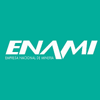 EMPRESA NACIONAL DE MINERIA logo
