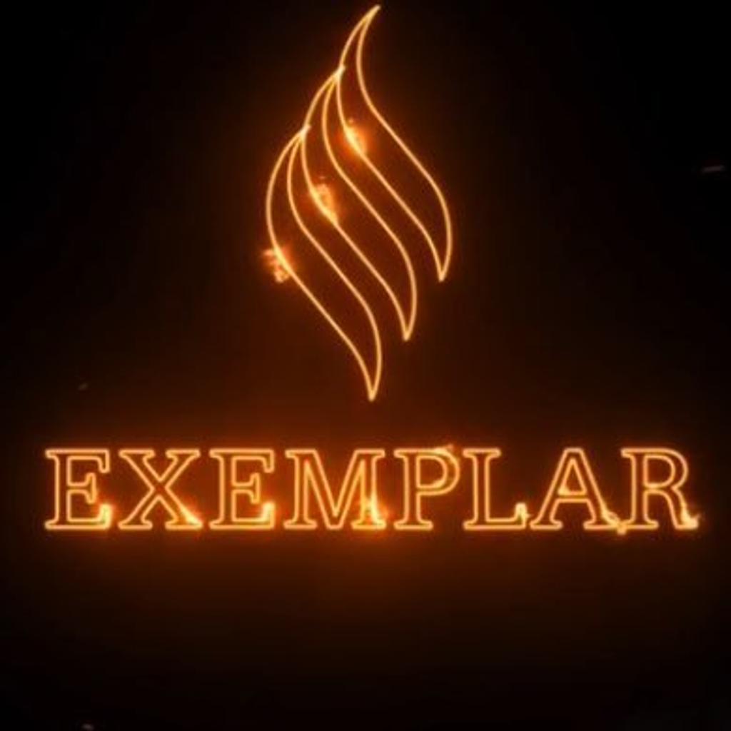 EXEMPLAR REITAIL LIMITED logo
