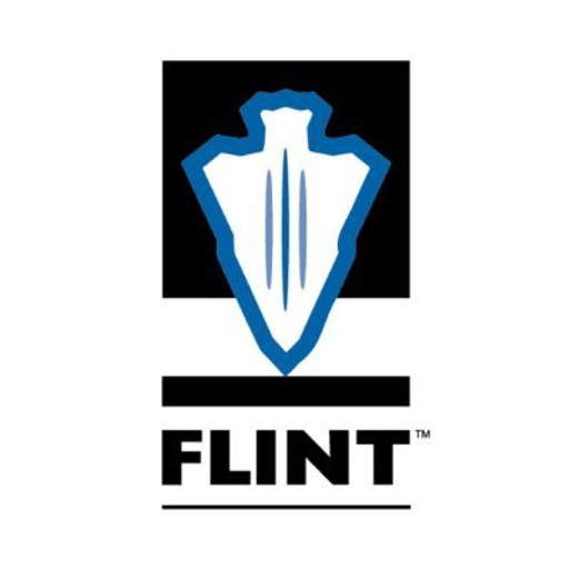 FLINT Corp. logo