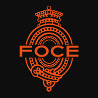 Foce India Limited logo
