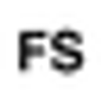 Futuristic Securities Ltd logo