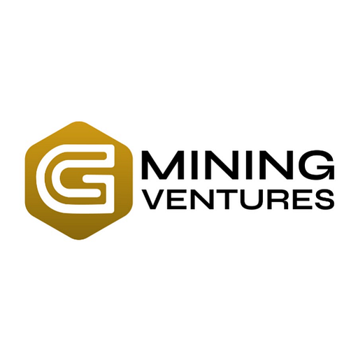 G Mining TZ Corp. logo