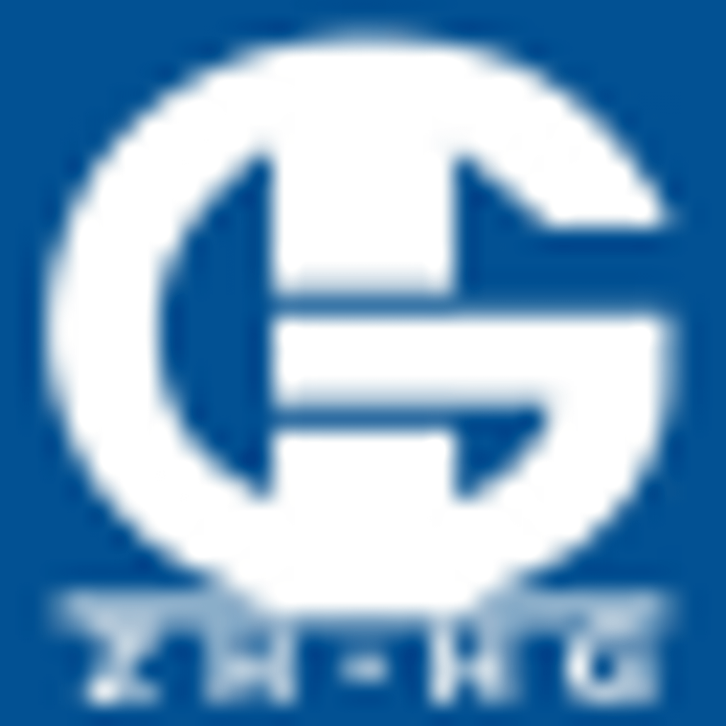 HG Semiconductor Limited logo