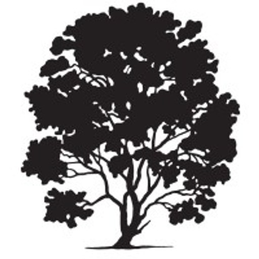 HLS Therapeutics Inc. logo