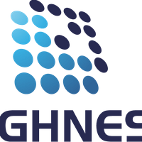 Highness Microelectronics Limited logo