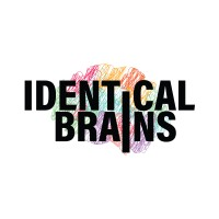Identical Brains Studios Limited logo