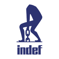 Indef Manufacturing Limited logo