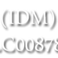 International Data Managements Ltd. logo