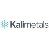 KALI METALS LIMITED logo