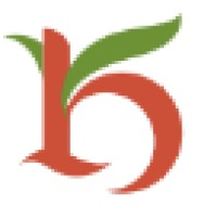 KESAR INDIA LIMITED logo