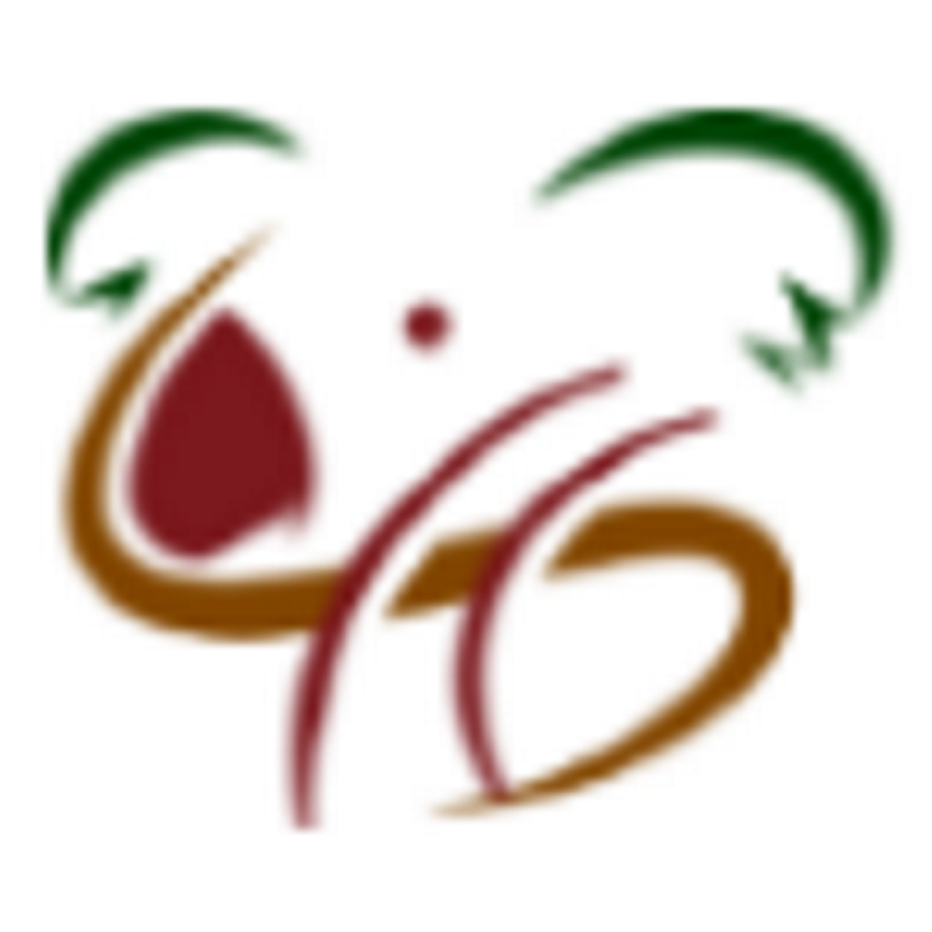 KOALA Financial Group Limited logo