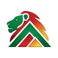LION ROCK MINERALS LTD logo