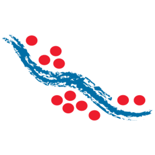 Laramide Resources Ltd. logo