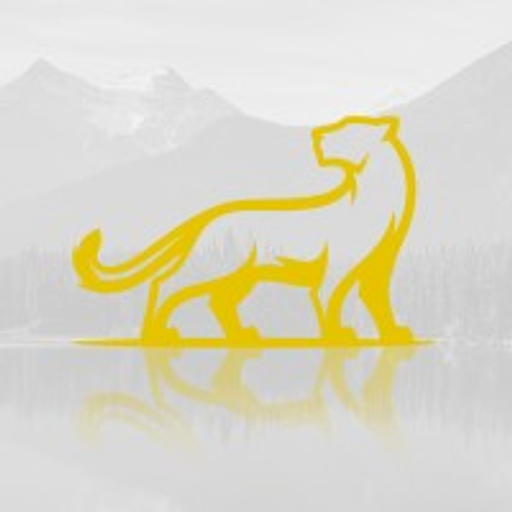 Leopard Lake Gold Corp. logo