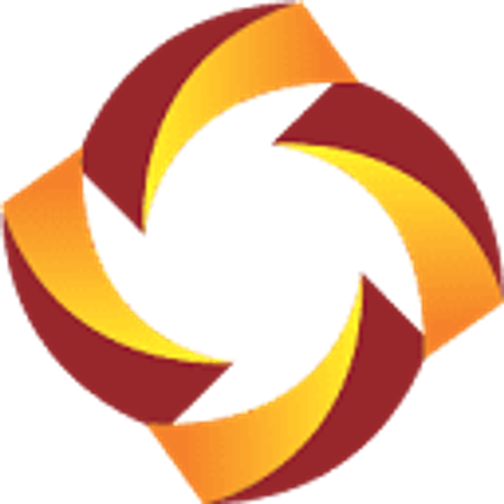 Lisi Group (Holdings) Limited logo