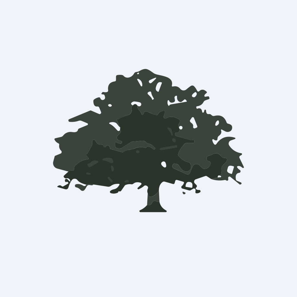 Live Oak Acquisition Corp. V Logo