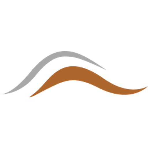 Los Andes Copper Ltd. logo