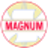 MAGNUM VENTURES LIMITED logo
