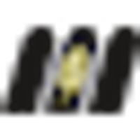 MAIOCCO CEREALES S.A. logo