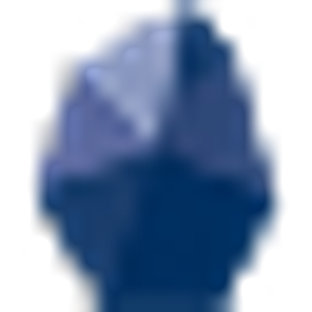 MC MINING LIMITED logo