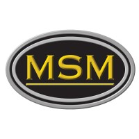 MSM INTERNATIONAL LIMITED logo