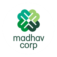 Madhav Infra Projects Limited logo