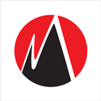 Maheshwari Logistics Limited logo