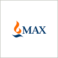 Max India Limited logo