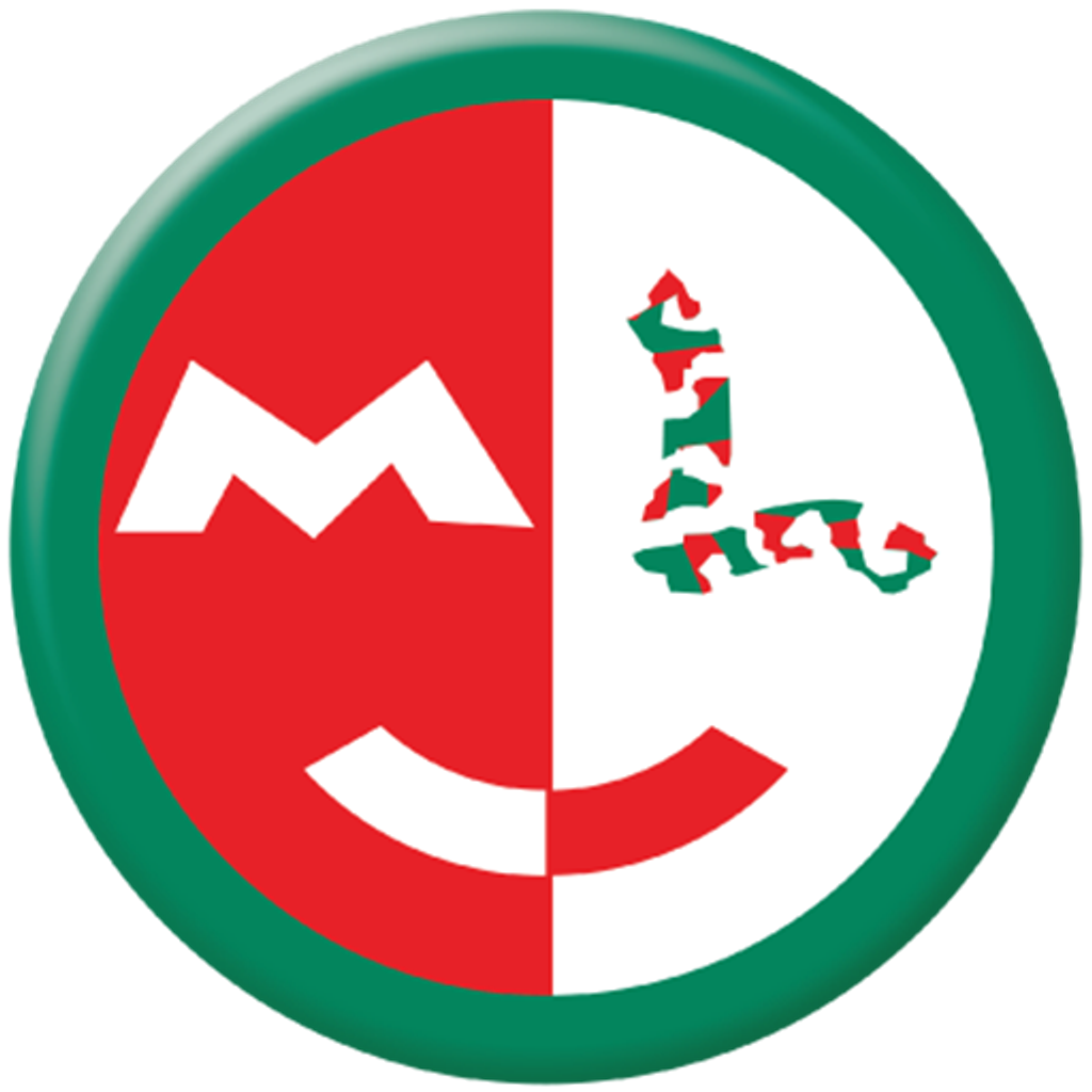 Medialink Group Limited logo