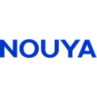 NANYA NEW MATERIAL TECHNOLOGY CO.,LTD logo