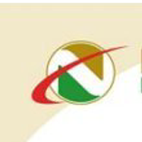 NEX METALS EXPLORATION LIMITED logo