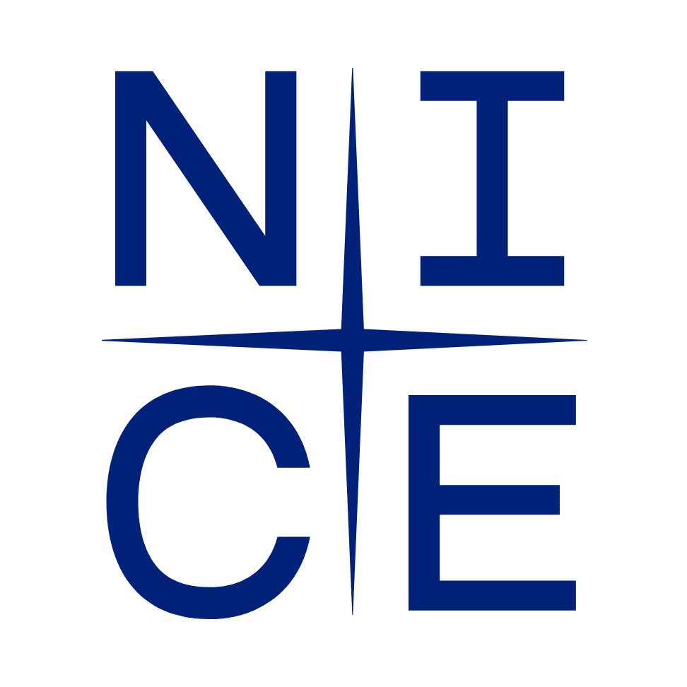 NICE Holdings Co., Ltd Logo