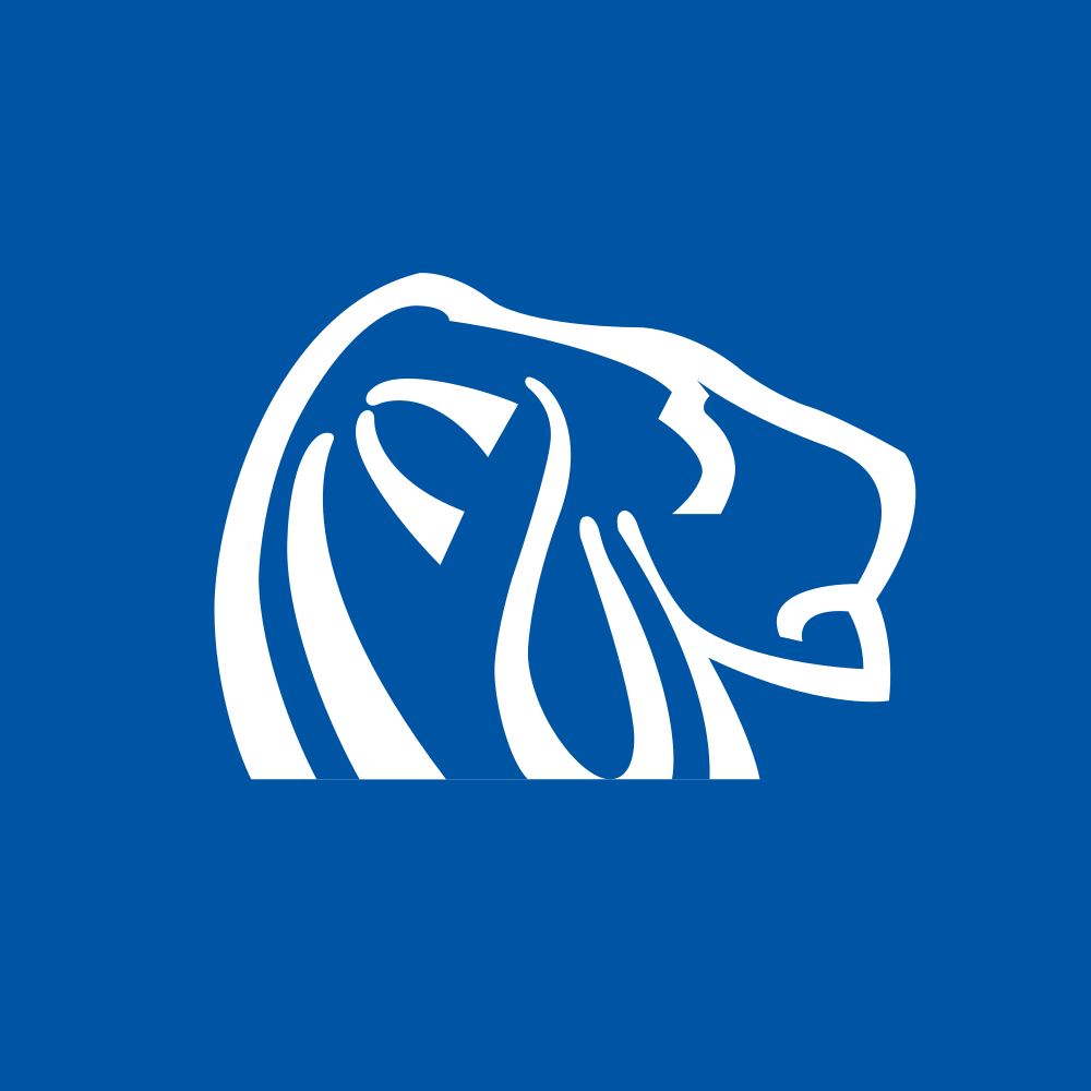 NORTHERN DYNASTY MINERALS LTD Logo