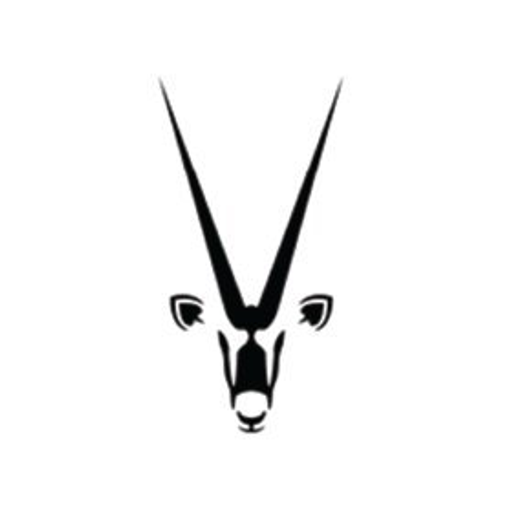 Namibia Critical Metals Inc. logo