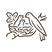 Nestle Pakistan Limited logo