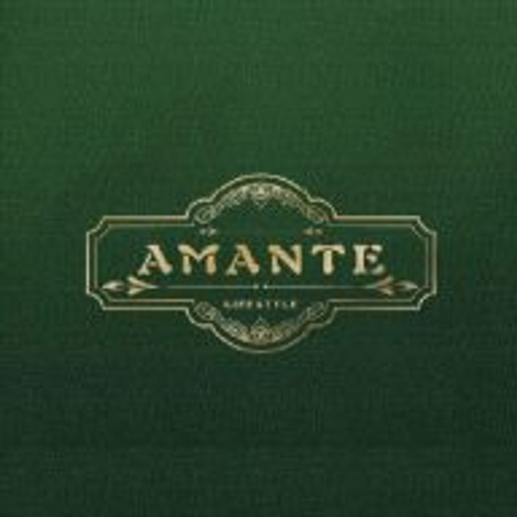 New Amante Group Limited logo
