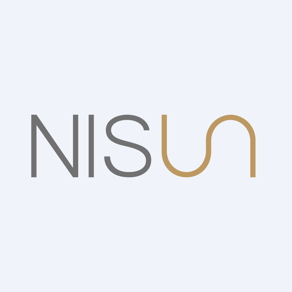 Nisun International Enterprise Development Group Co., Ltd Logo