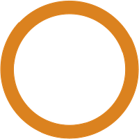 OPTISCAN IMAGING LIMITED logo