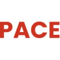 PACE E-COMMERCE VENTURES LIMITED logo