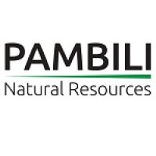PAMBILI NATURAL RESOURCES CORPORATION logo