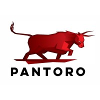 PANTORO GOLD LIMITED logo