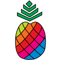 PINEAPPLE RESOURCES BHD logo