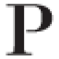 PUENTE NOGUEIRA SRL logo