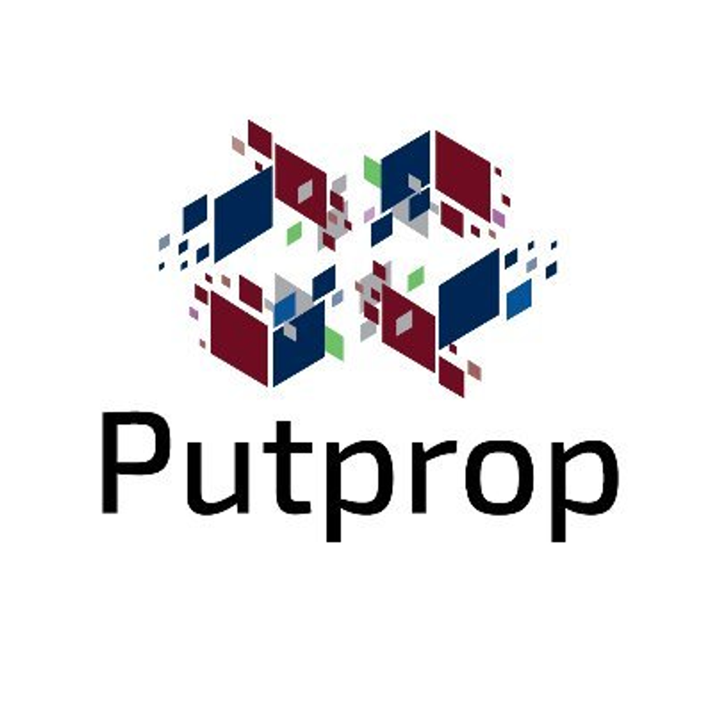PUTPROP LIMITED logo