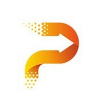 Pace Digitek Limited logo